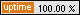 Uptime Monitoring Service