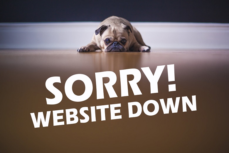 how to check if a website is it down