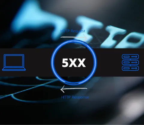 About 5xx response status code